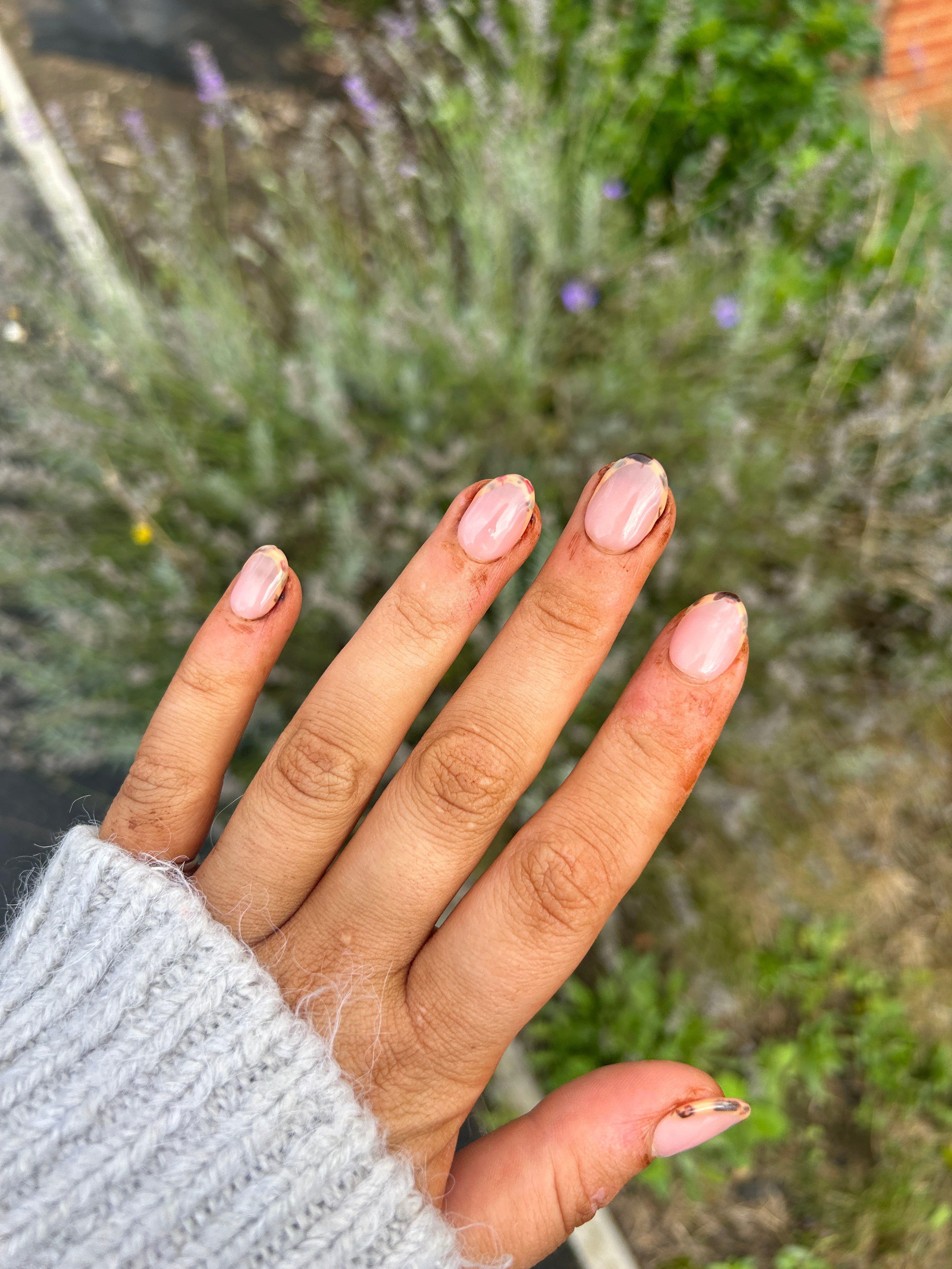 Tortie French Tips False Nails